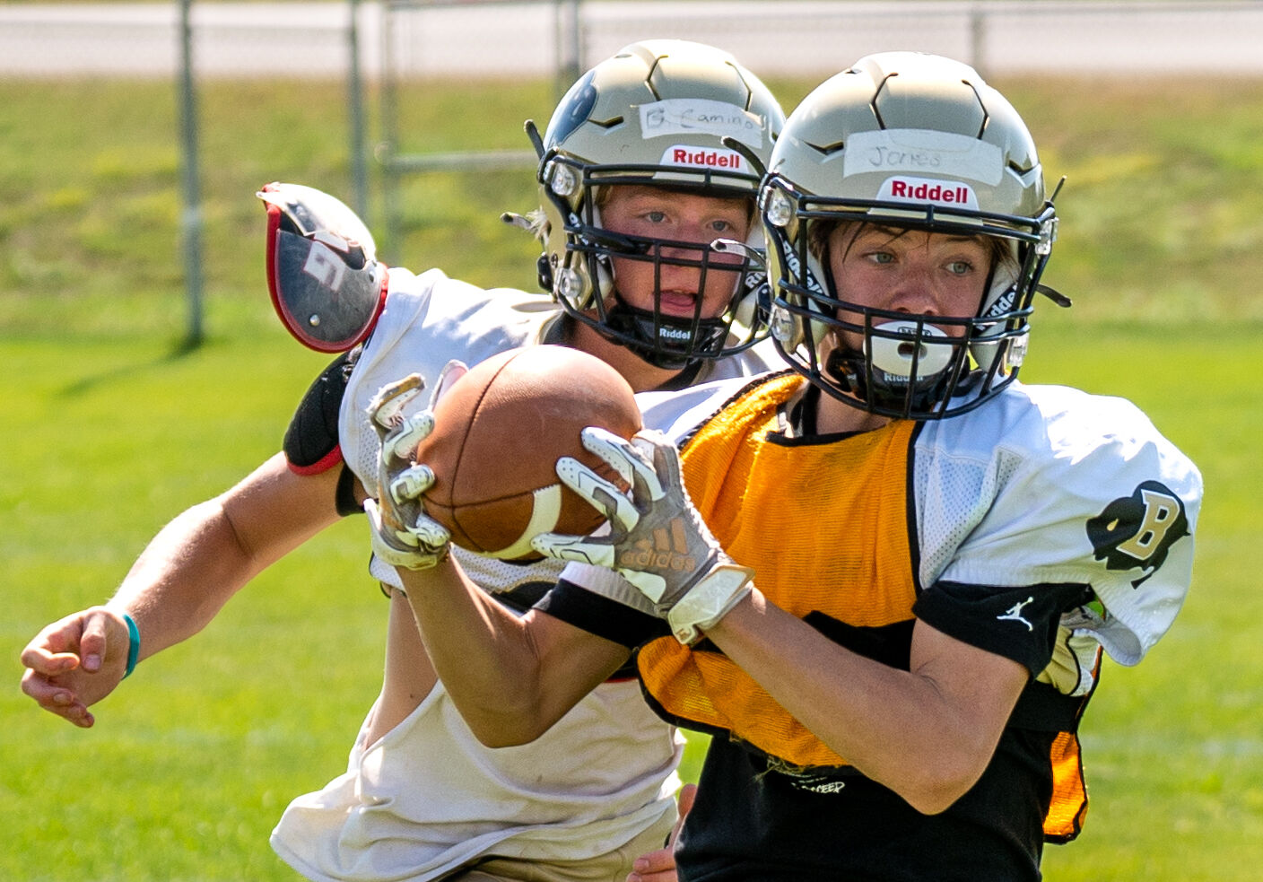 Bison football